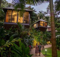 Daintree Ecolodge - Accommodation Search