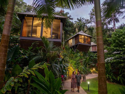 Daintree Ecolodge - Accommodation Search 0