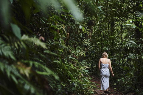 Daintree Ecolodge - Accommodation Search 2