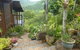Daintree Holiday Homes - The Folly - thumb 0