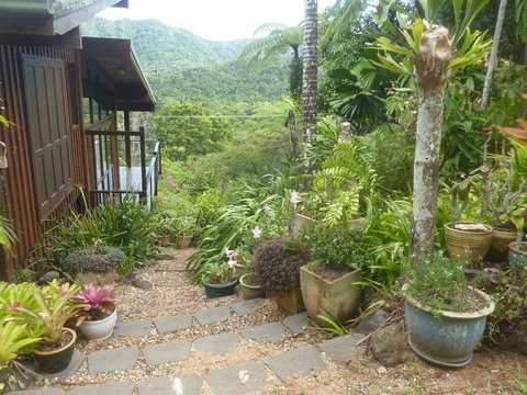 Daintree Holiday Homes - The Folly - Accommodation Search 0