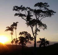 Daintree Holiday Homes - Yurara - Accommodation Search