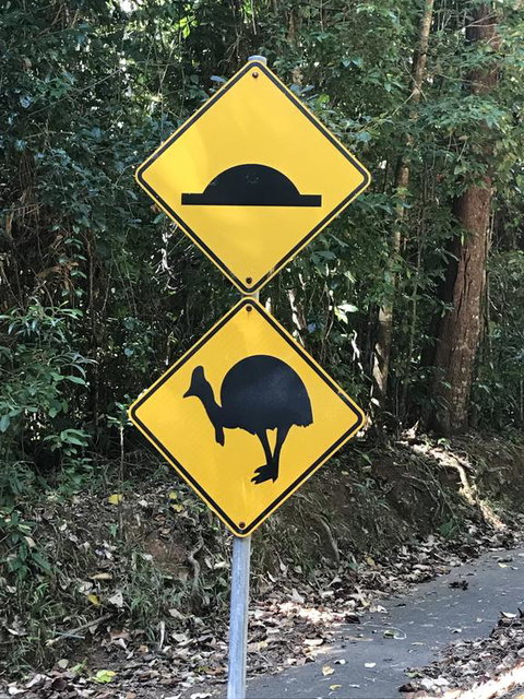 Daintree Magic - Accommodation Search 1