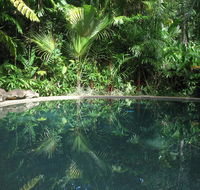 Daintree Rainforest Retreat Motel - Accommodation Search
