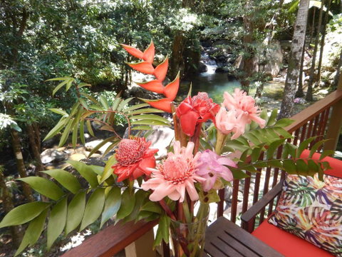 Daintree Secrets Rainforest Sanctuary - Accommodation Search 1
