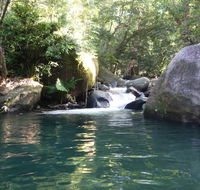 Daintree Secrets Rainforest Sanctuary - Accommodation Search