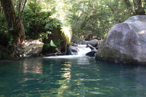 Daintree Secrets Rainforest Sanctuary - Accommodation Search 0