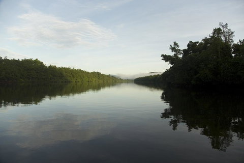 Daintree Village Hideaway - Accommodation Search 2