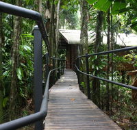 Daintree Wilderness Lodge - Accommodation Search