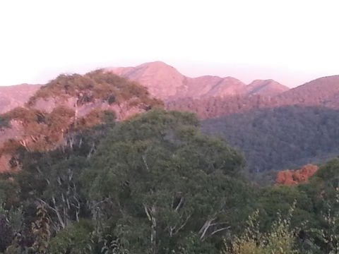 Day Dream Cottage - Accommodation Search 2