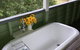 Dayboro - Blue Ridge Lavender Cottage - thumb 1