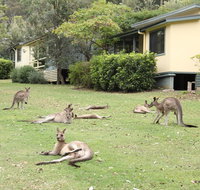 Depot Beach Cabins - Accommodation Search
