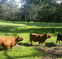 Dingley Dell - Accommodation Search