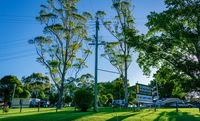 Book Dorrigo Accommodation Vacations Accommodation Search Accommodation Search