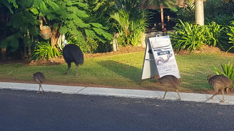 Driftwood Bed And Breakfast - Accommodation Search 1