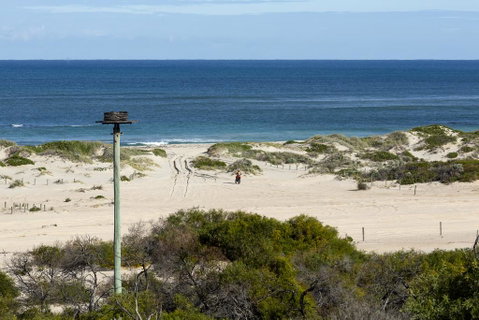 Drummond Cove Holiday Park - Accommodation Search 1