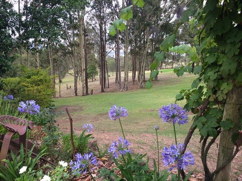 Elfin Hill Vineyard Accommodation - Accommodation Search 2