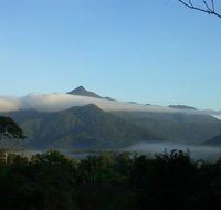 Epiphyte B  B - Accommodation Search