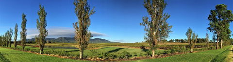 Estate Tuscany - Accommodation Search 1