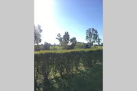 Book Benalla Accommodation Vacations Accommodation Search Accommodation Search