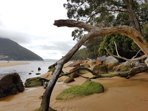 Fish Creek Alkira Accommodation - Accommodation Search 1