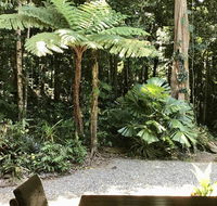 Forest Views Daintree - Accommodation Search