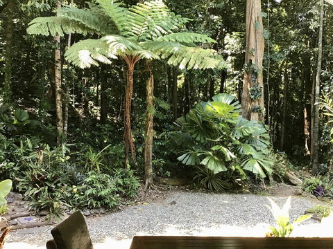 Forest Views Daintree - Accommodation Search 0