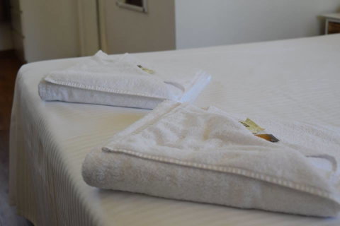 Forster And Wallis Lake Motel - Accommodation Search 0