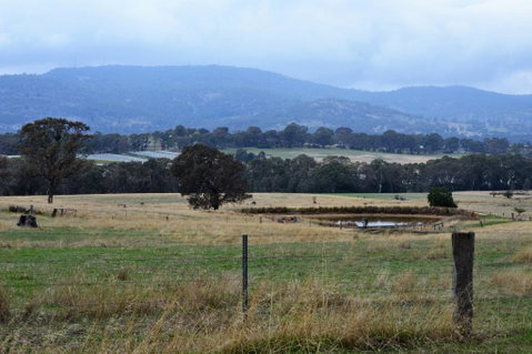 Friends In Harcourt North - Accommodation Search 2