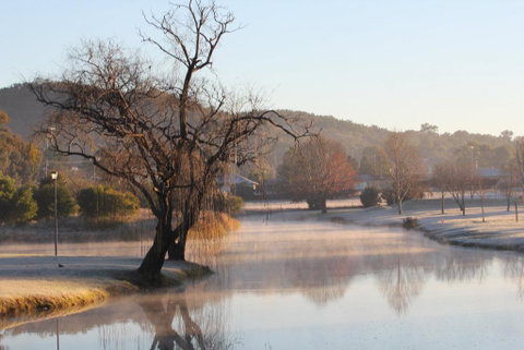 FROGGIES HOLIDAY HOUSE - Accommodation Search 1