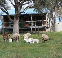Gaddleen Grove Cottages - Accommodation Search