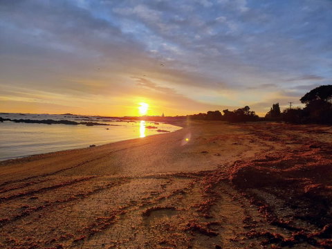 Goat Island Bungalow - Accommodation Search 0