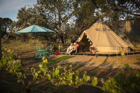 Grapevine Glamping - Accommodation Search 0