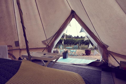 Grapevine Glamping - Accommodation Search 3
