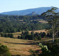 Grey Gum Lodge - Accommodation Search