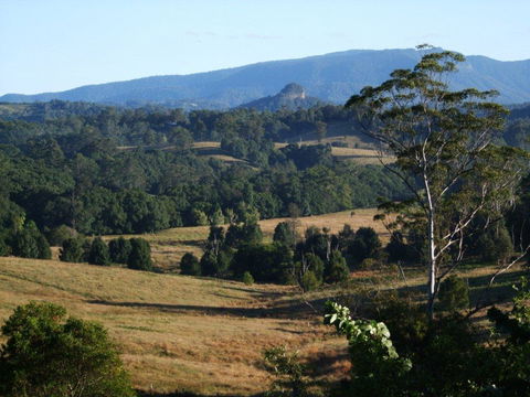 Grey Gum Lodge - Accommodation Search 0