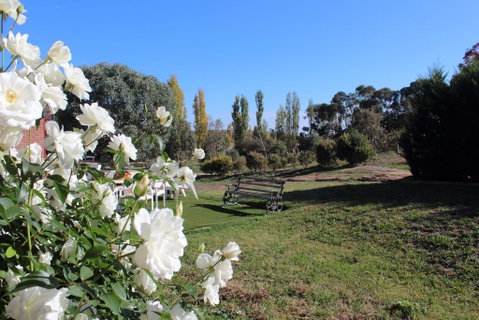 Gundaroo Manor Bed & Breakfast - Accommodation Search 2