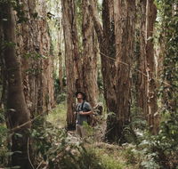 Habitat Noosa - Accommodation Search