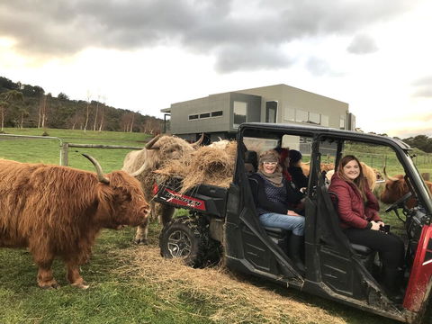 Highland Getaway - Accommodation Search 0