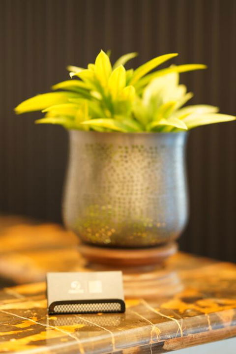 Jephson Hotel & Apartments - Accommodation Search 3