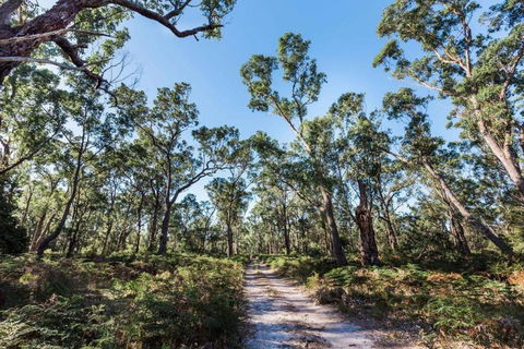 Jetty Views - Water Views On Raymond Island - Accommodation Search 1