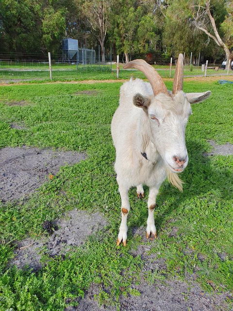 Kerriley Park FarmStay - Accommodation Search 2
