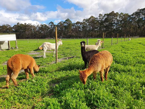 Kerriley Park FarmStay - Accommodation Search 3