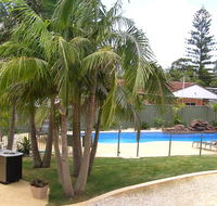 Koala Tree Motel - Accommodation Search
