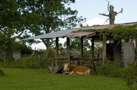 Lagoon Pocket Bed & Breakfast - Accommodation Search 3