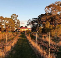 Lillicur Vineyard BB - Accommodation Search