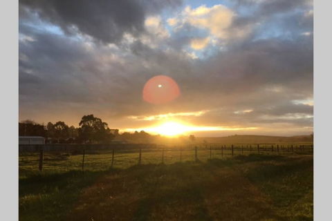 Lucys Artist Cottage - Accommodation Search 3