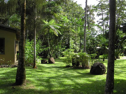 Lync Haven Rainforest Retreat - Accommodation Search 3