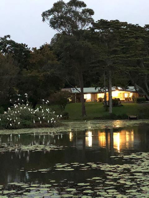 Maleny Lake Cottages-Guesthouse - Accommodation Search 3