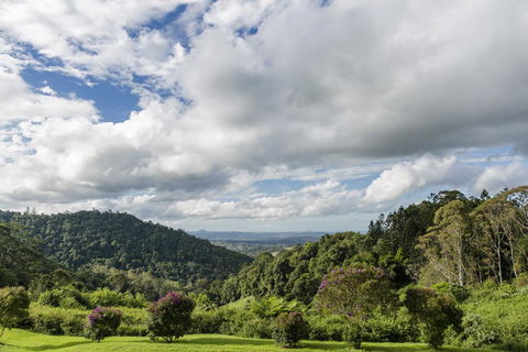 Maleny Manor - Accommodation Search 1